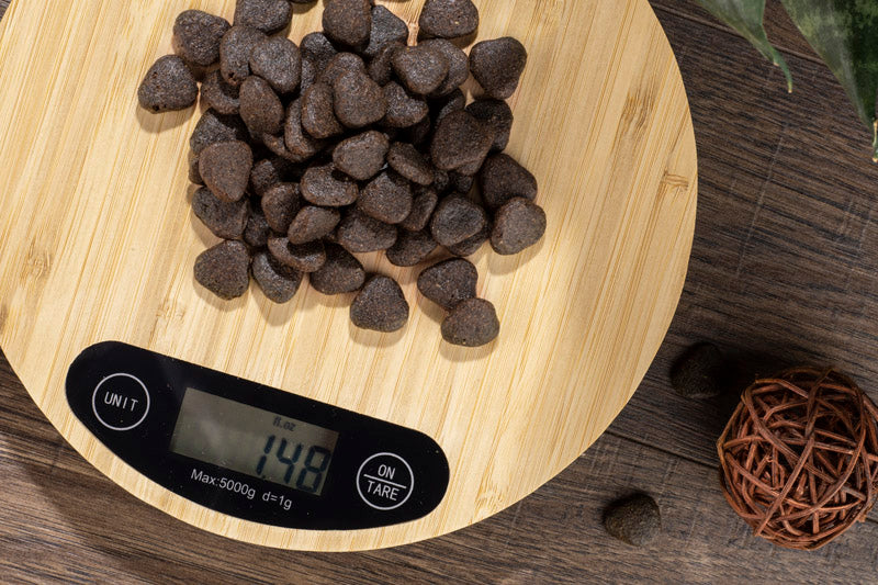 Waga kuchenna CIRCA