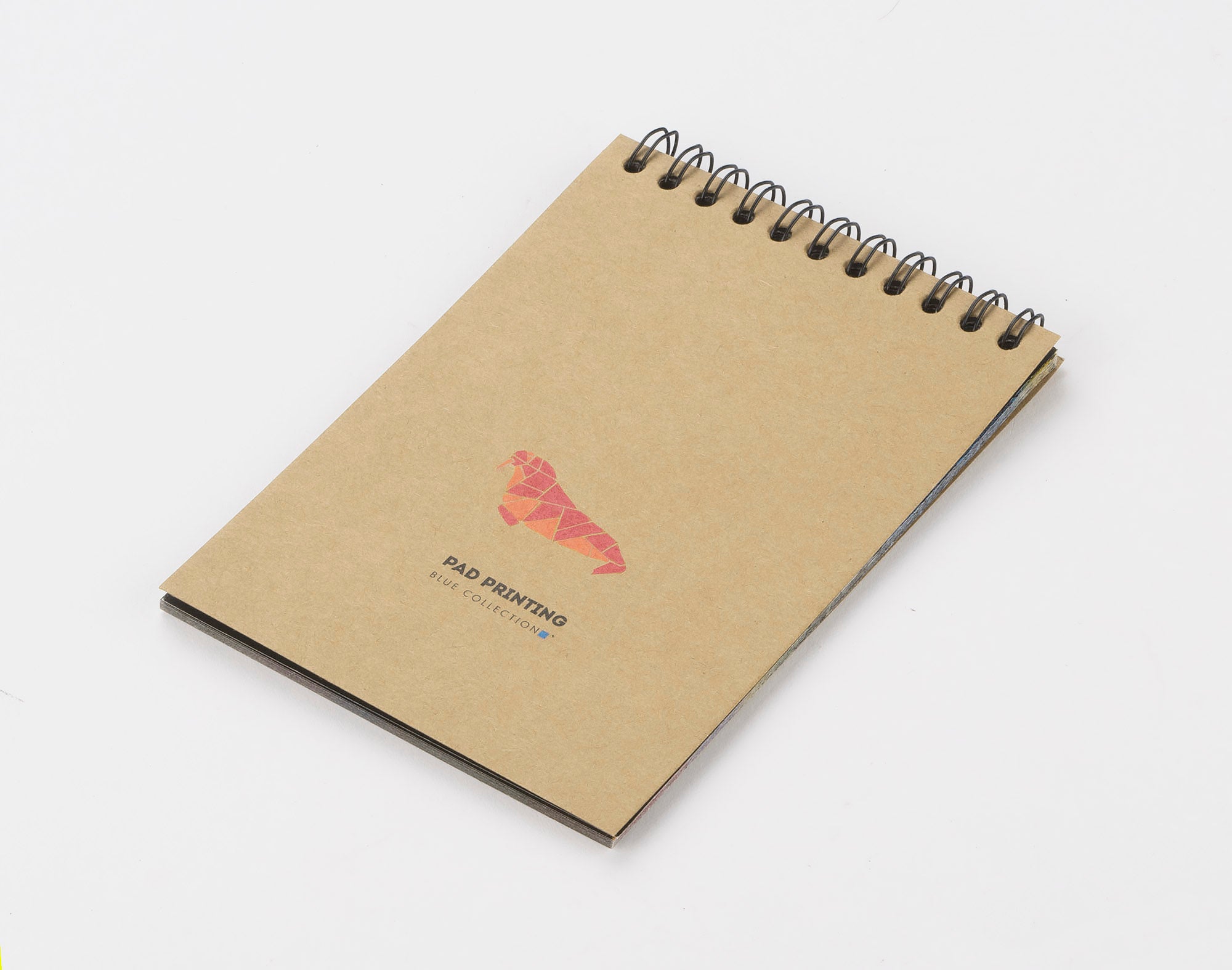 Notes zdrapywanka GRAFI A6