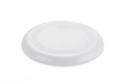 Frisbee ZING