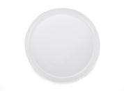 Frisbee ZING