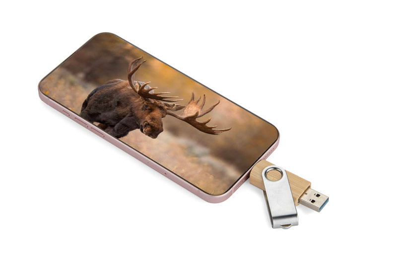 Pamięć USB TWISTER-PRO 32 GB 3.0 OTG
