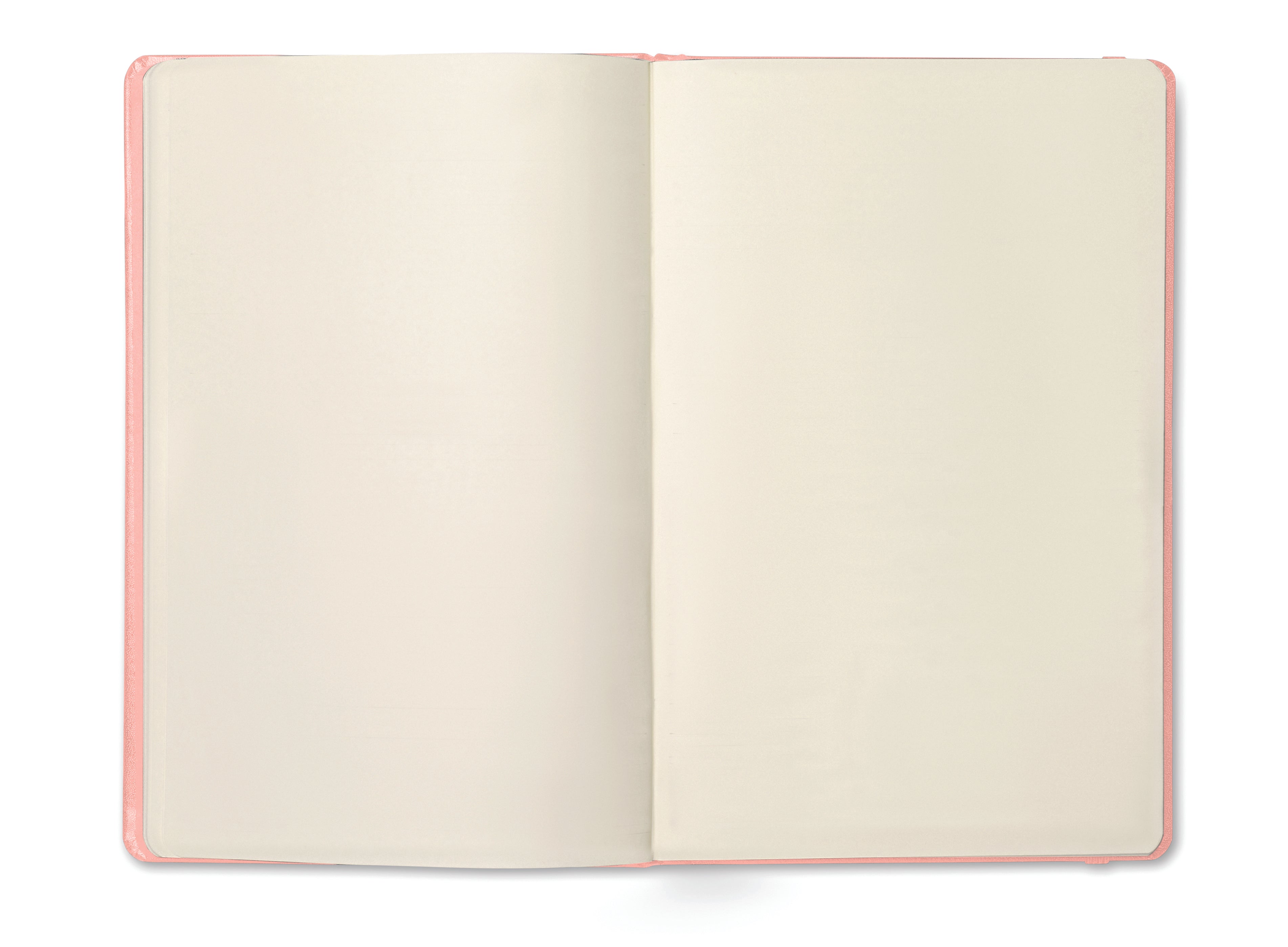 Notes A5, 96 kartek ARCONOT PLAIN