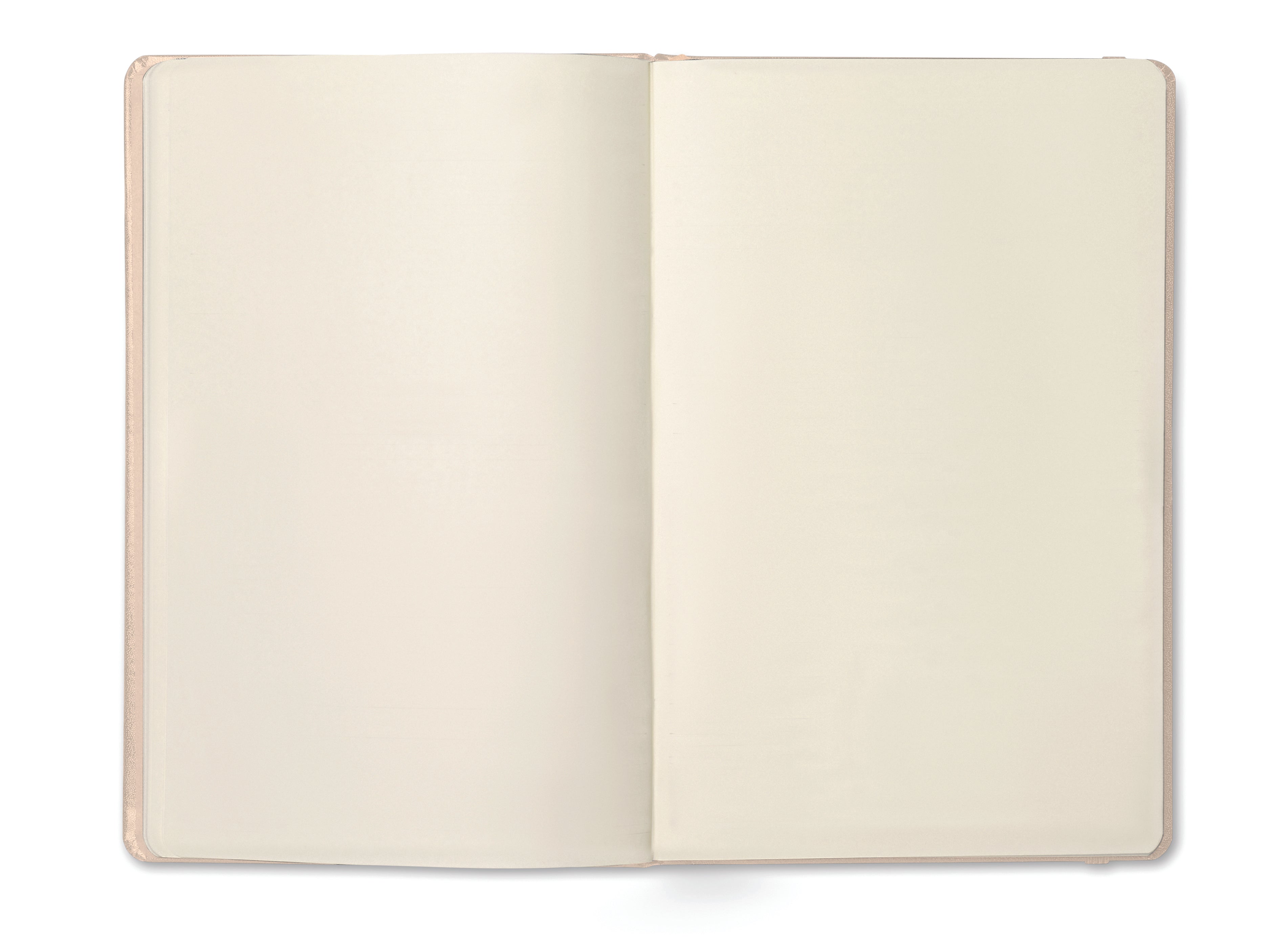 Notes A5, 96 kartek ARCONOT PLAIN