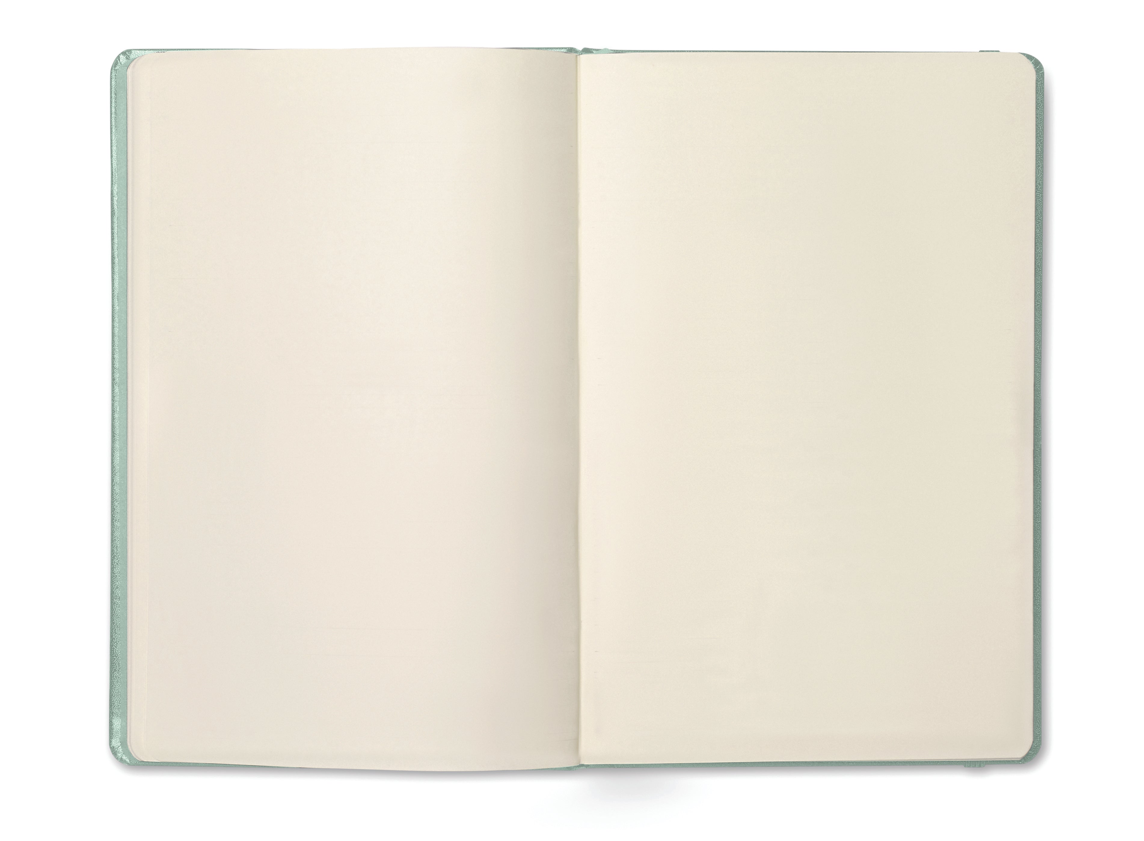 Notes A5, 96 kartek ARCONOT PLAIN