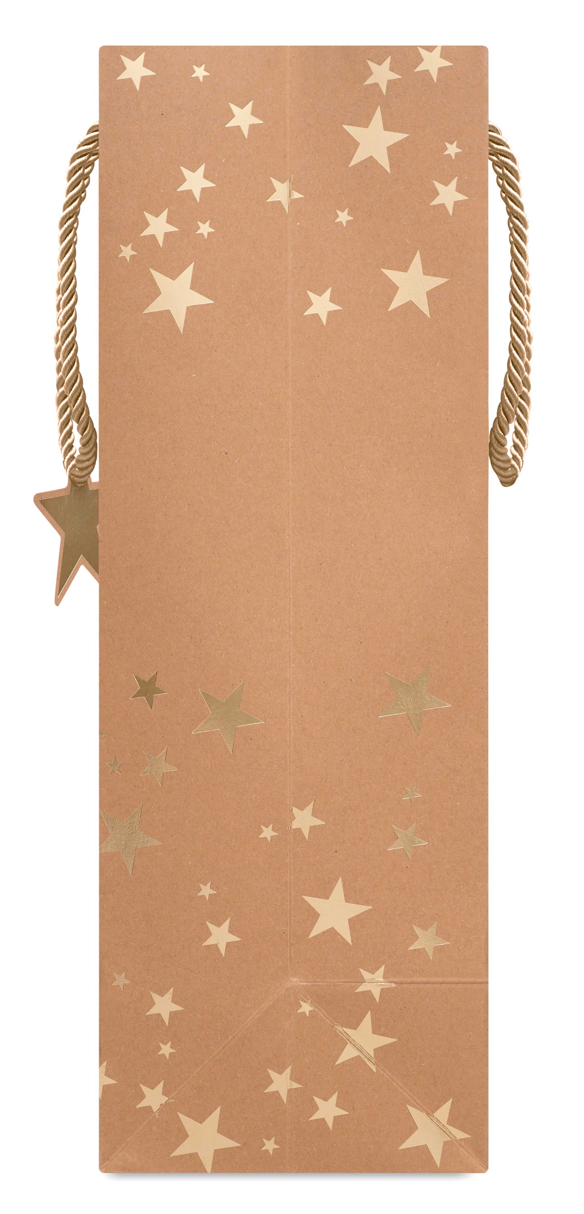 Papierowa torba prezentowa SPARKLE