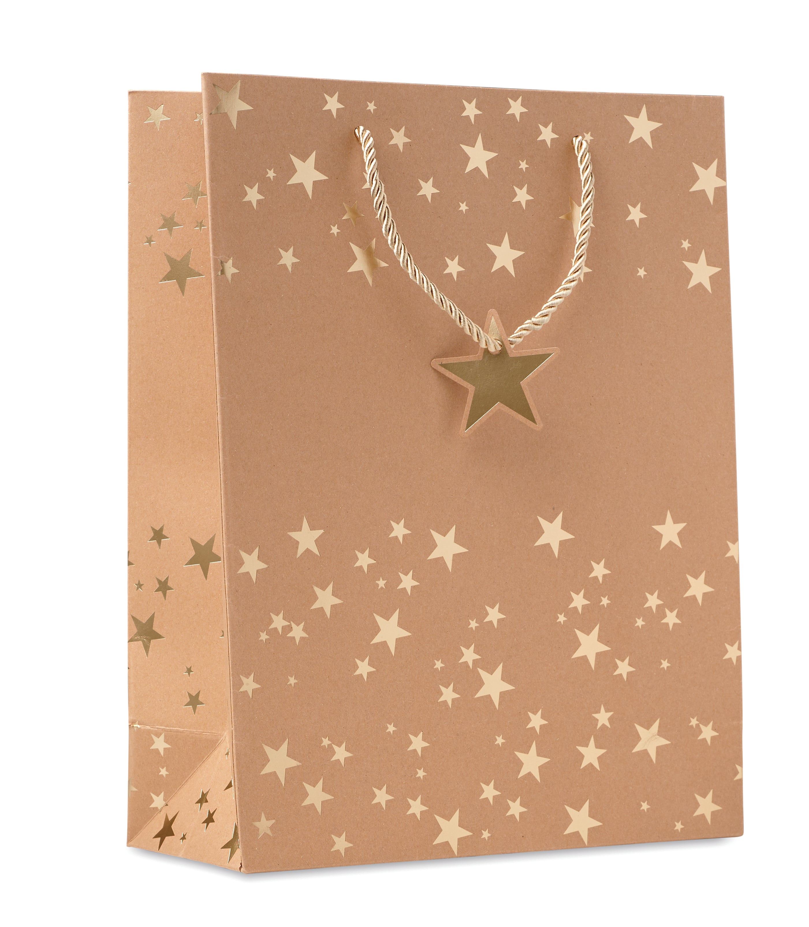 Papierowa torba prezentowa SPARKLE