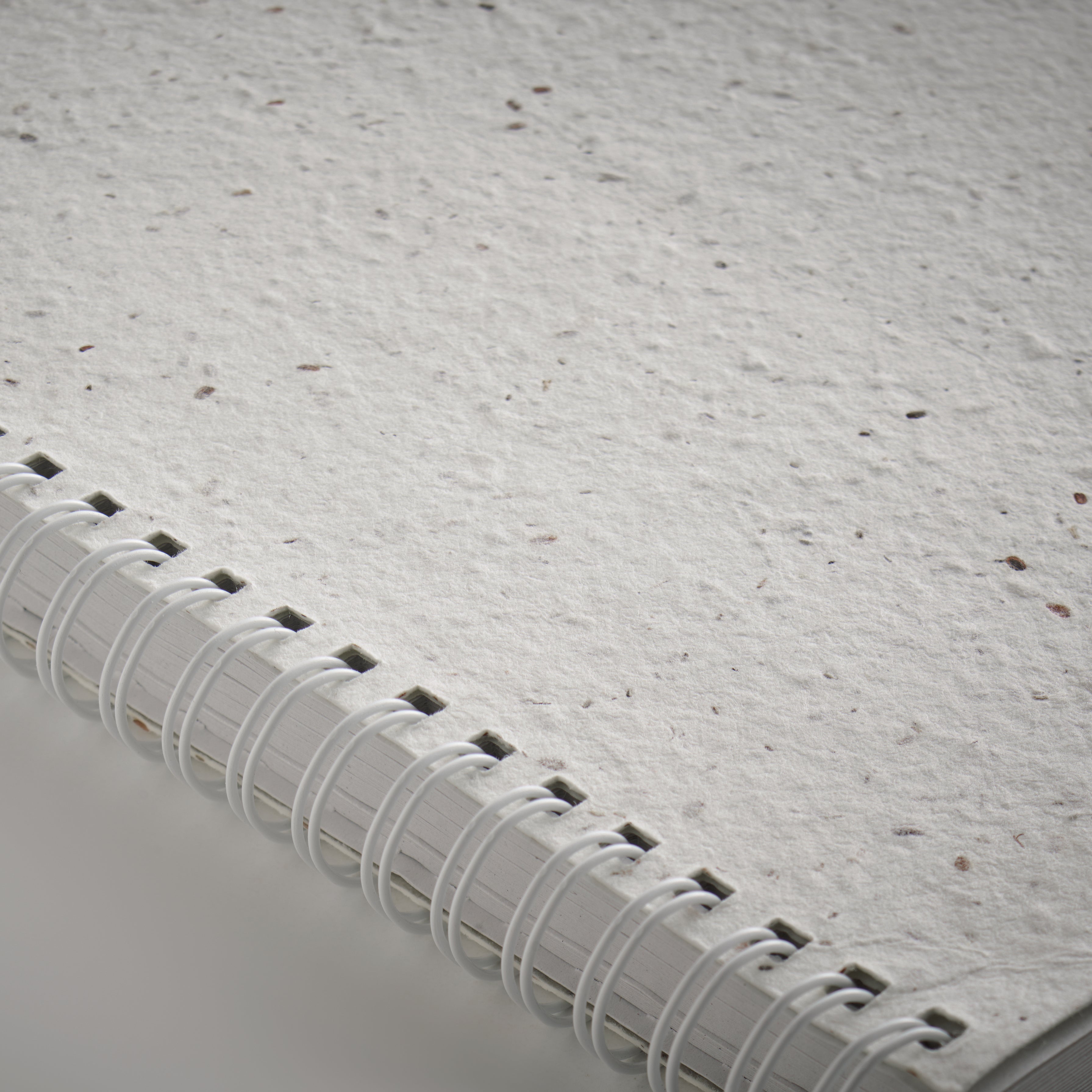 Notes A5 z papieru siewnego SEED RING