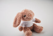 Pluszowy królik w bluzie BUNNY