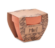 Nasiona mięty w doniczce MINT POT