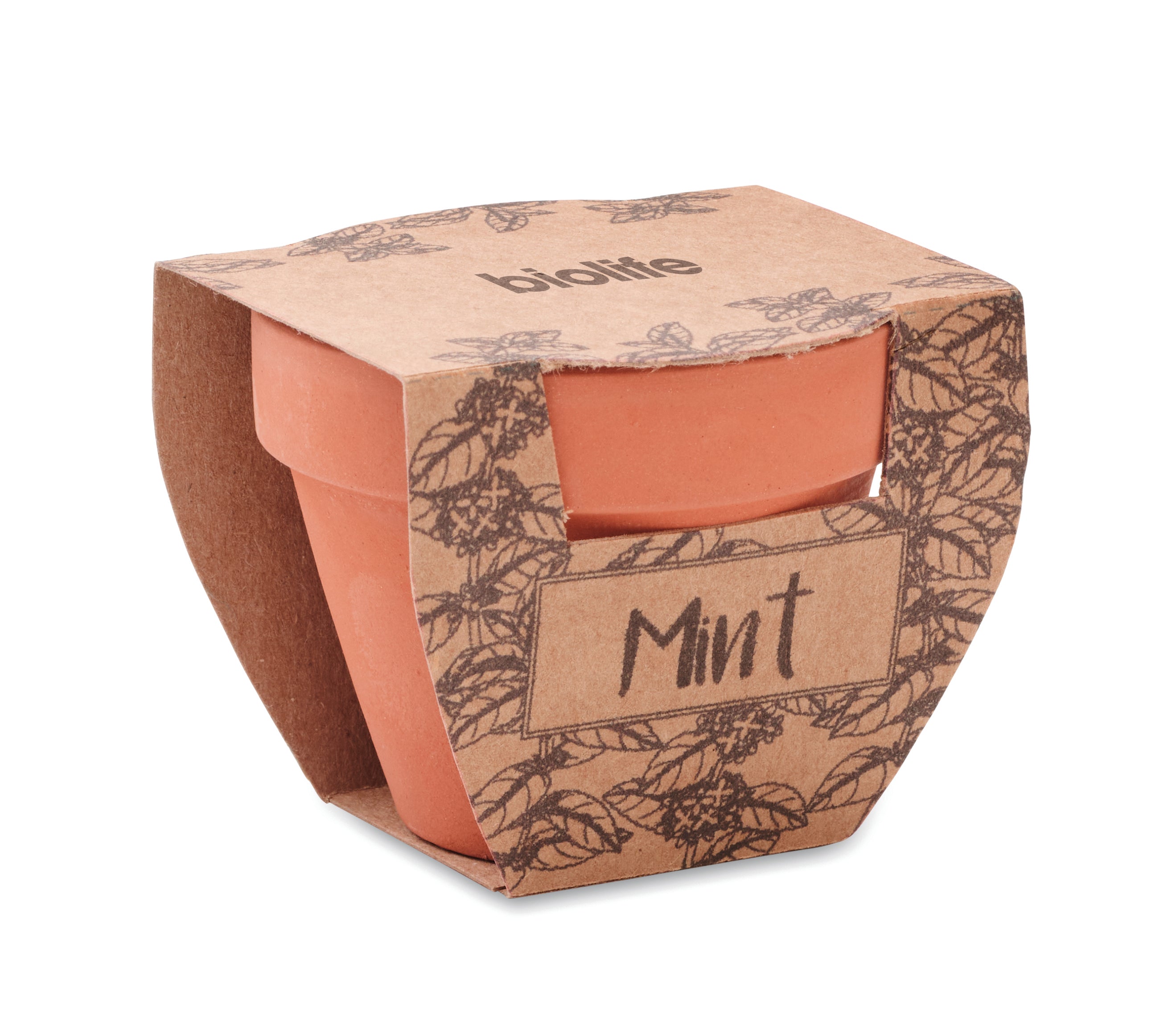 Nasiona mięty w doniczce MINT POT
