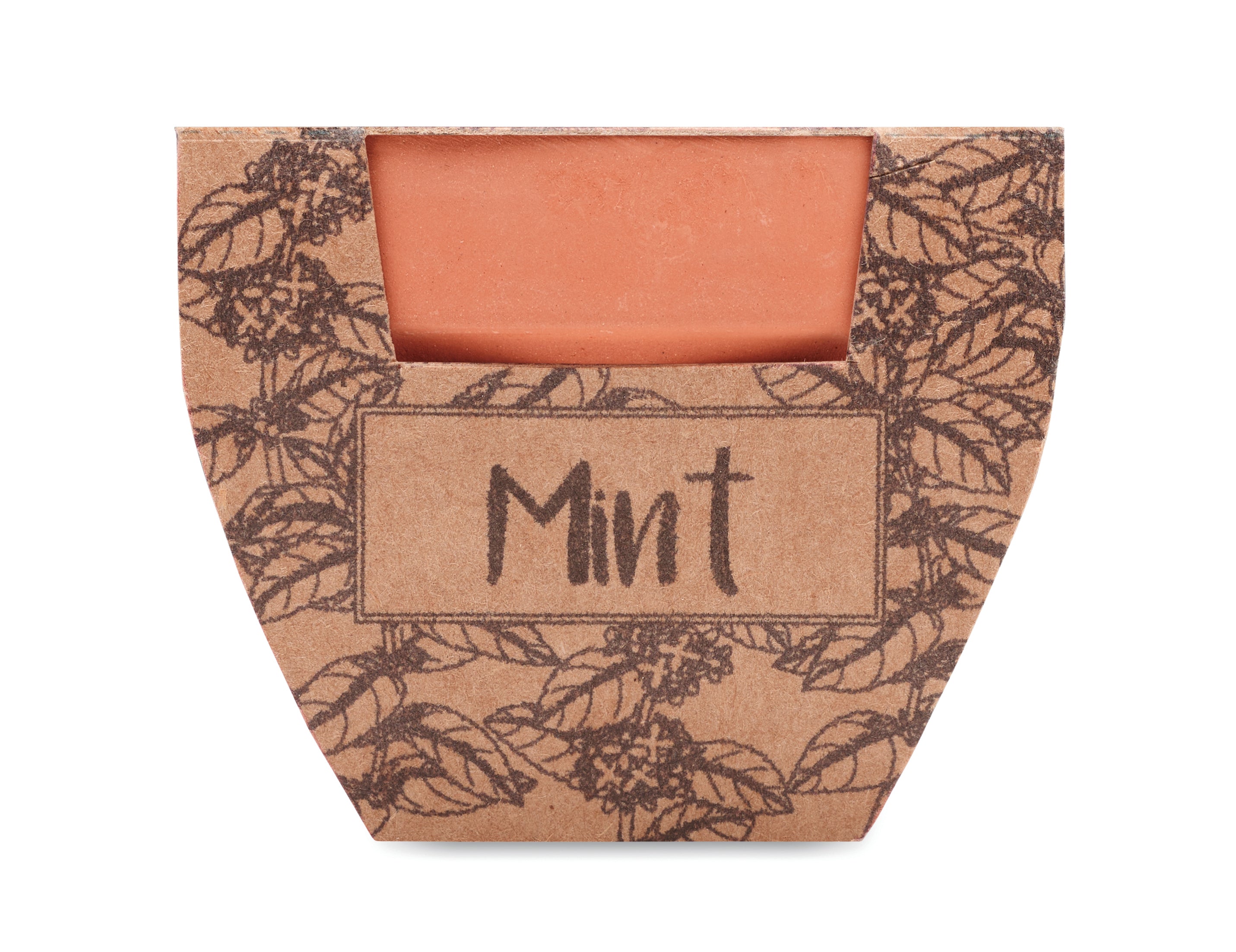 Nasiona mięty w doniczce MINT POT