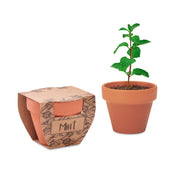 Nasiona mięty w doniczce MINT POT