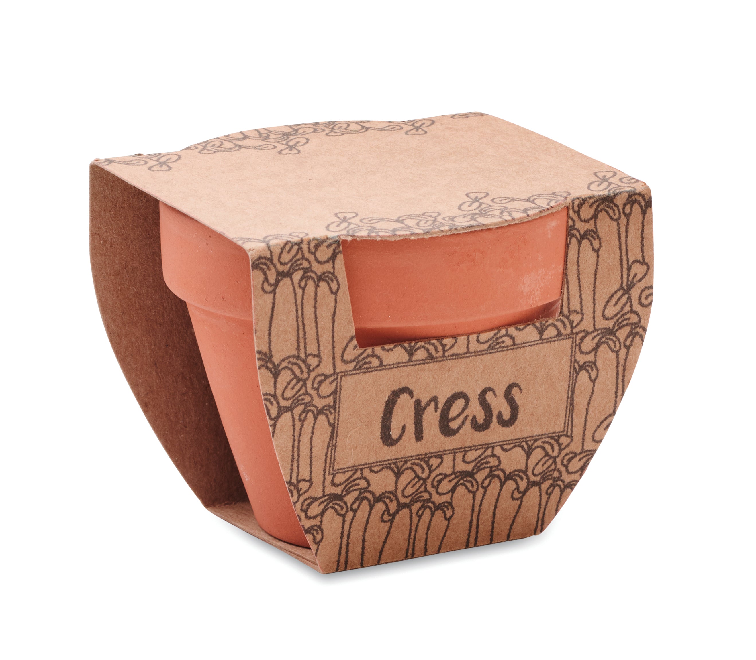 Nasiona rzeżuchy w doniczce CRESS POT