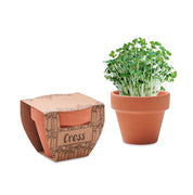 Nasiona rzeżuchy w doniczce CRESS POT