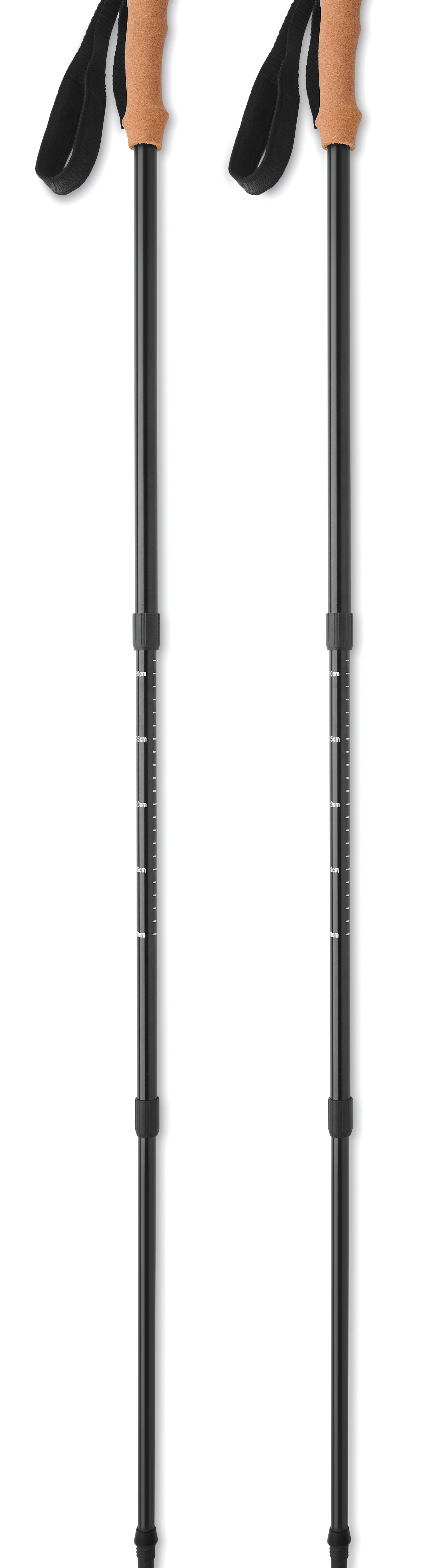 Kijki do nordic walking NOLE