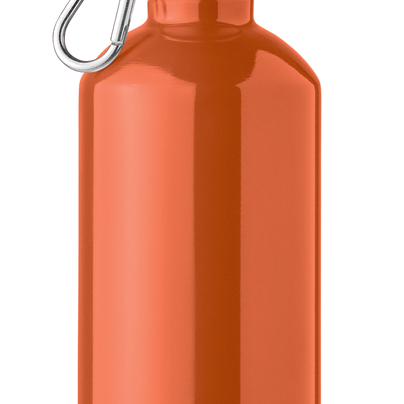 Butelka z pojedynczą 500ml REMID MOSS