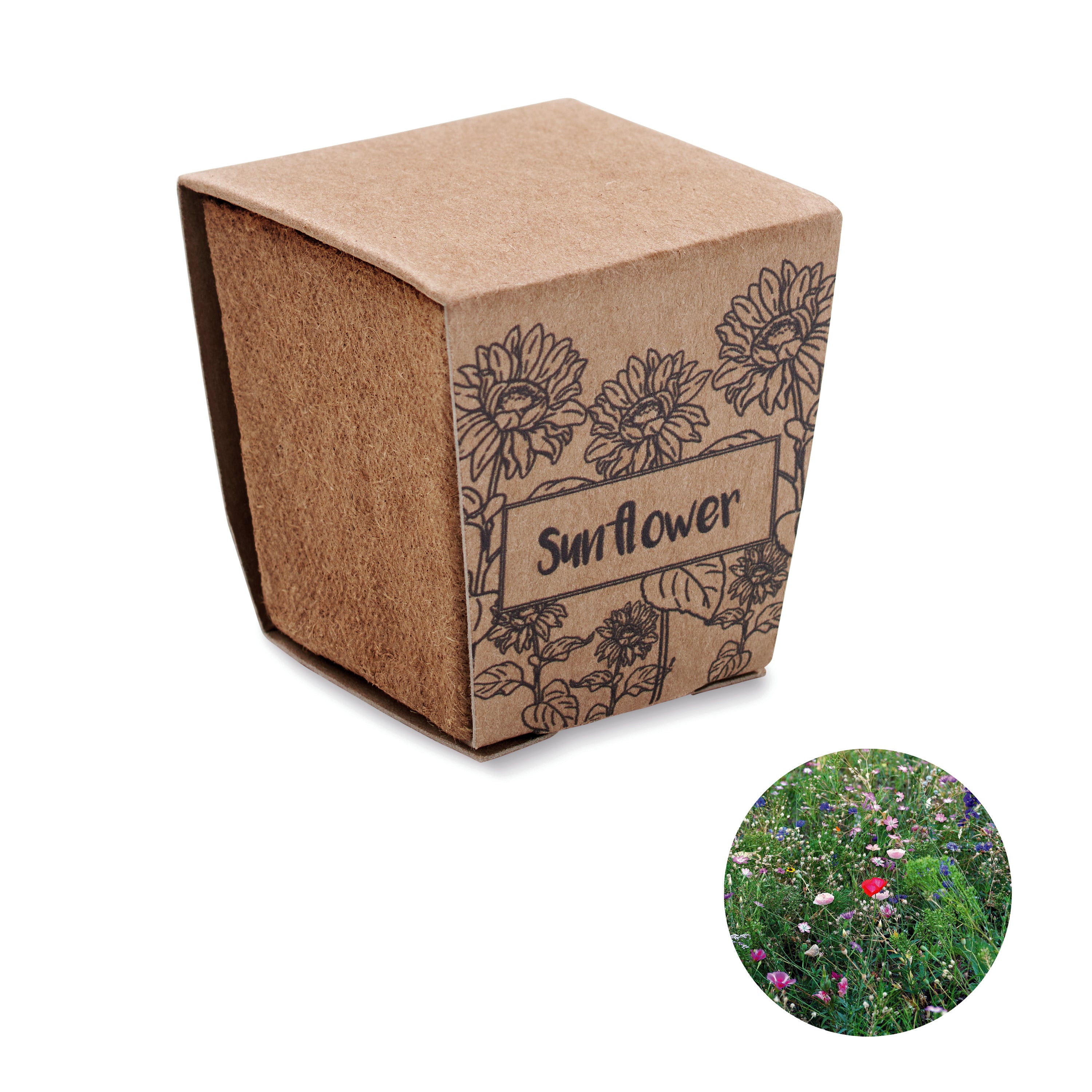 Zestaw do uprawy słonecznika SUNFLOWER KIT