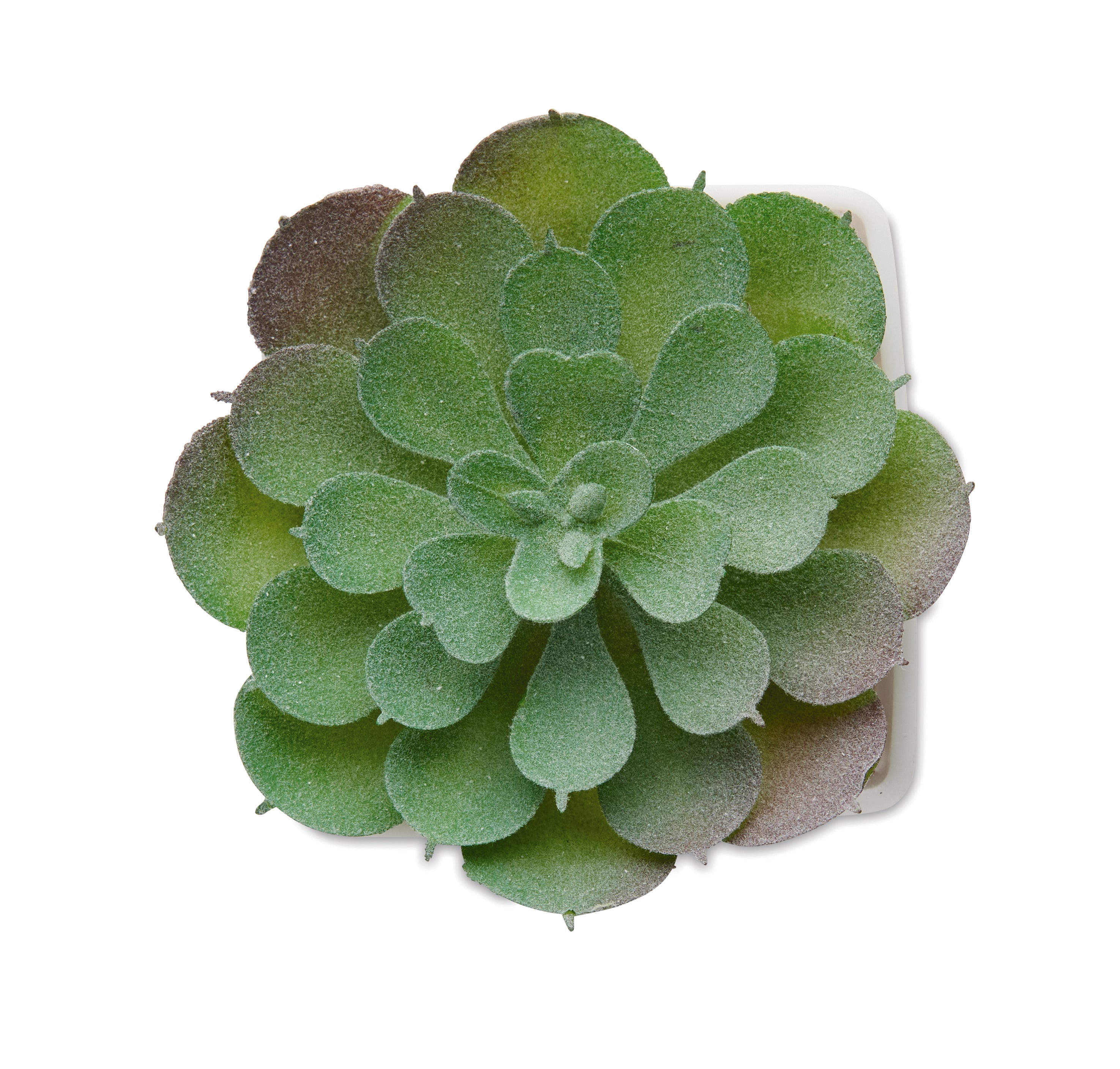 Mini sztuczna roślina ARTIECHE