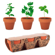 Zestaw 3 doniczek z terakoty FLOWERPOT