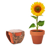 Doniczka, słonecznik SUNFLOWER