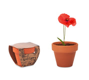 Doniczka, mak RED POPPY