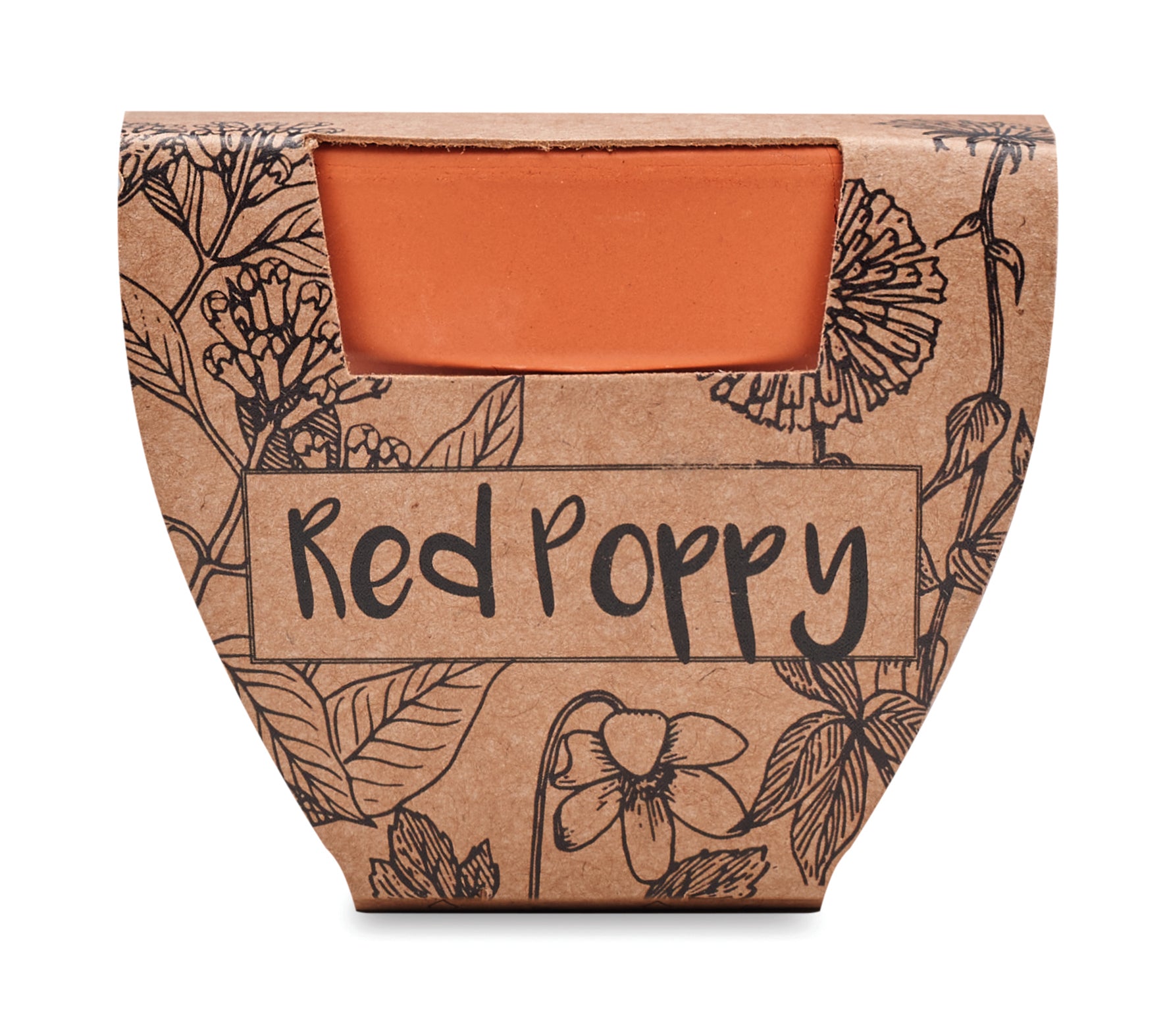 Doniczka, mak RED POPPY