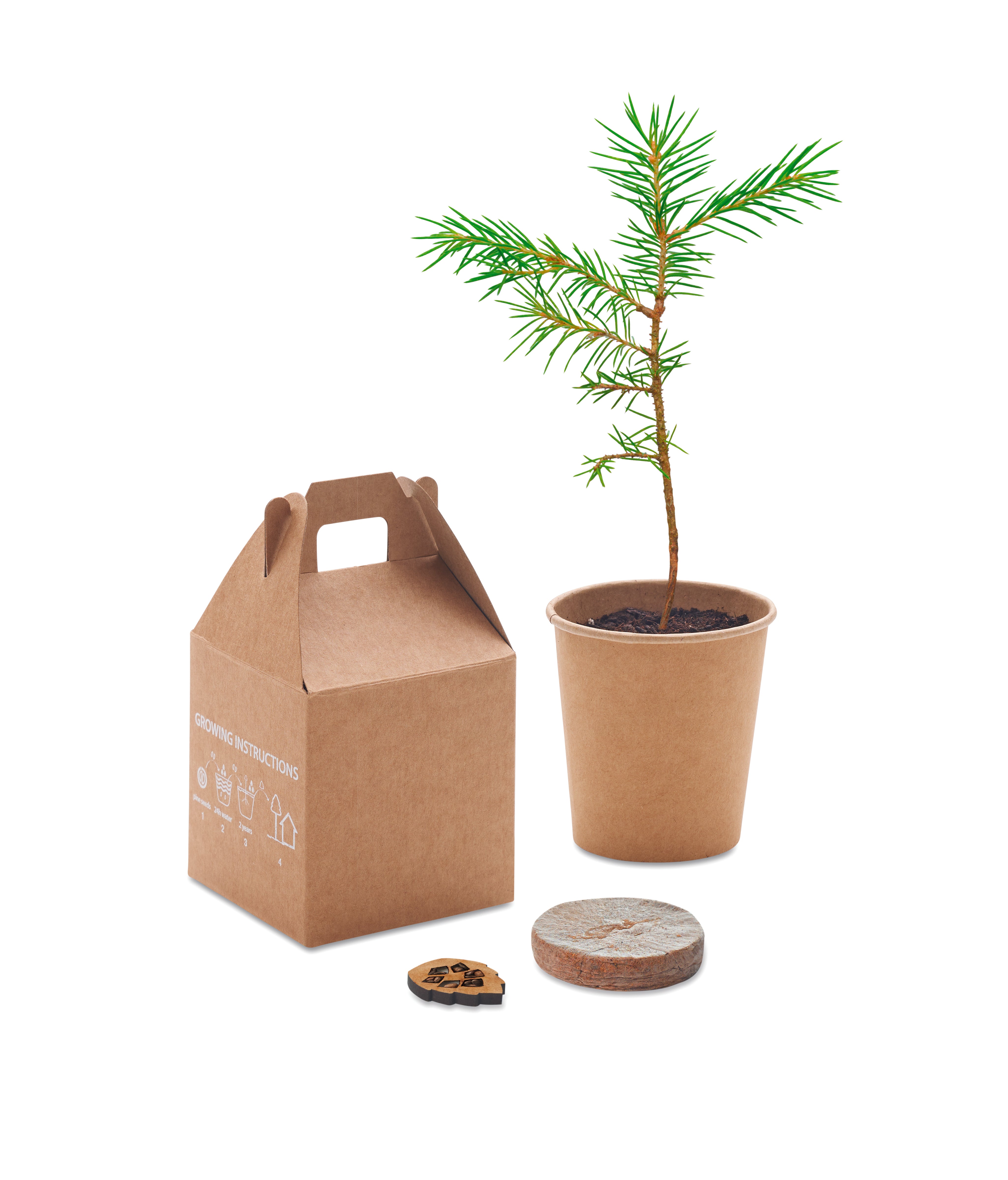 Nasiona sosny, torf, doniczka GROWTREE™