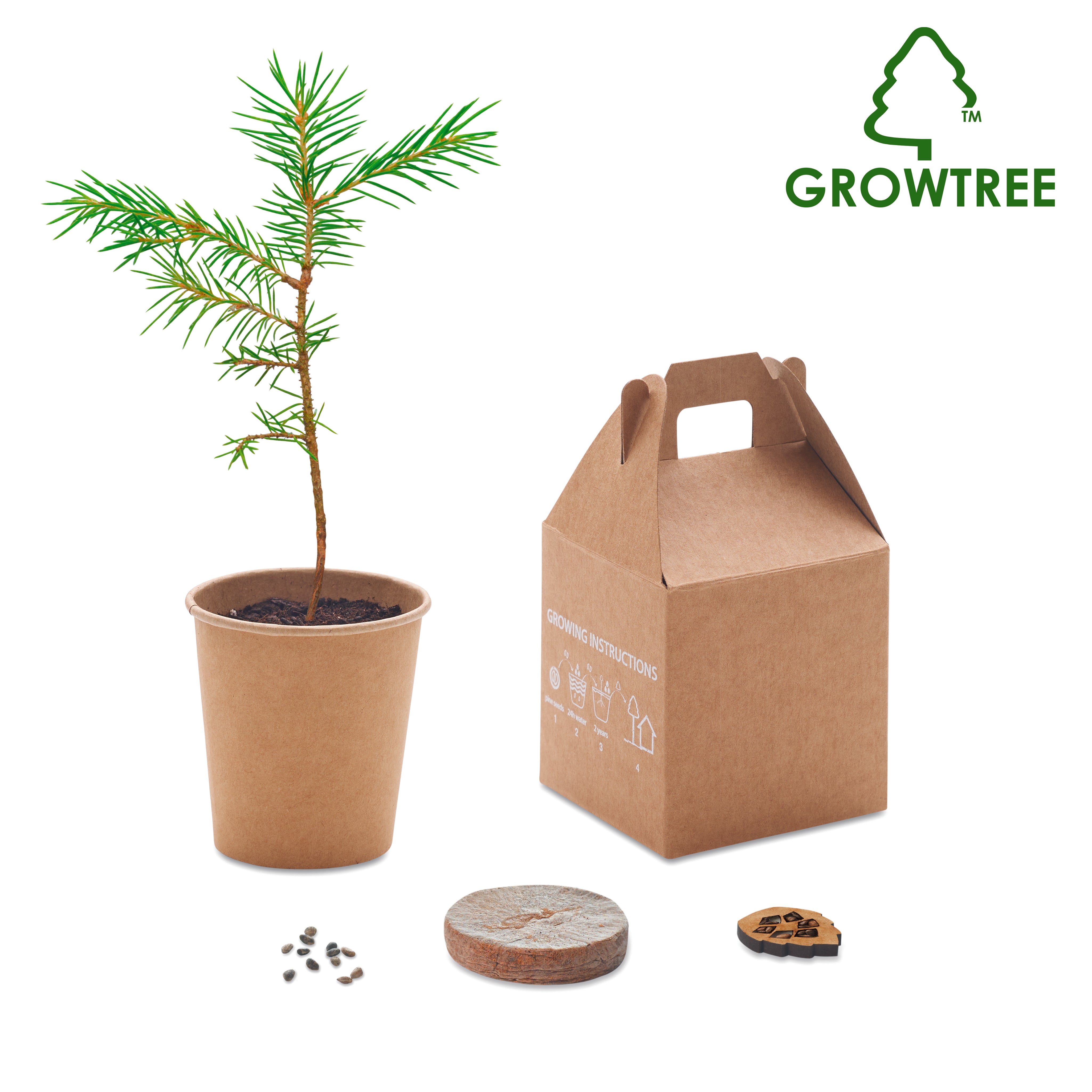 Nasiona sosny, torf, doniczka GROWTREE™