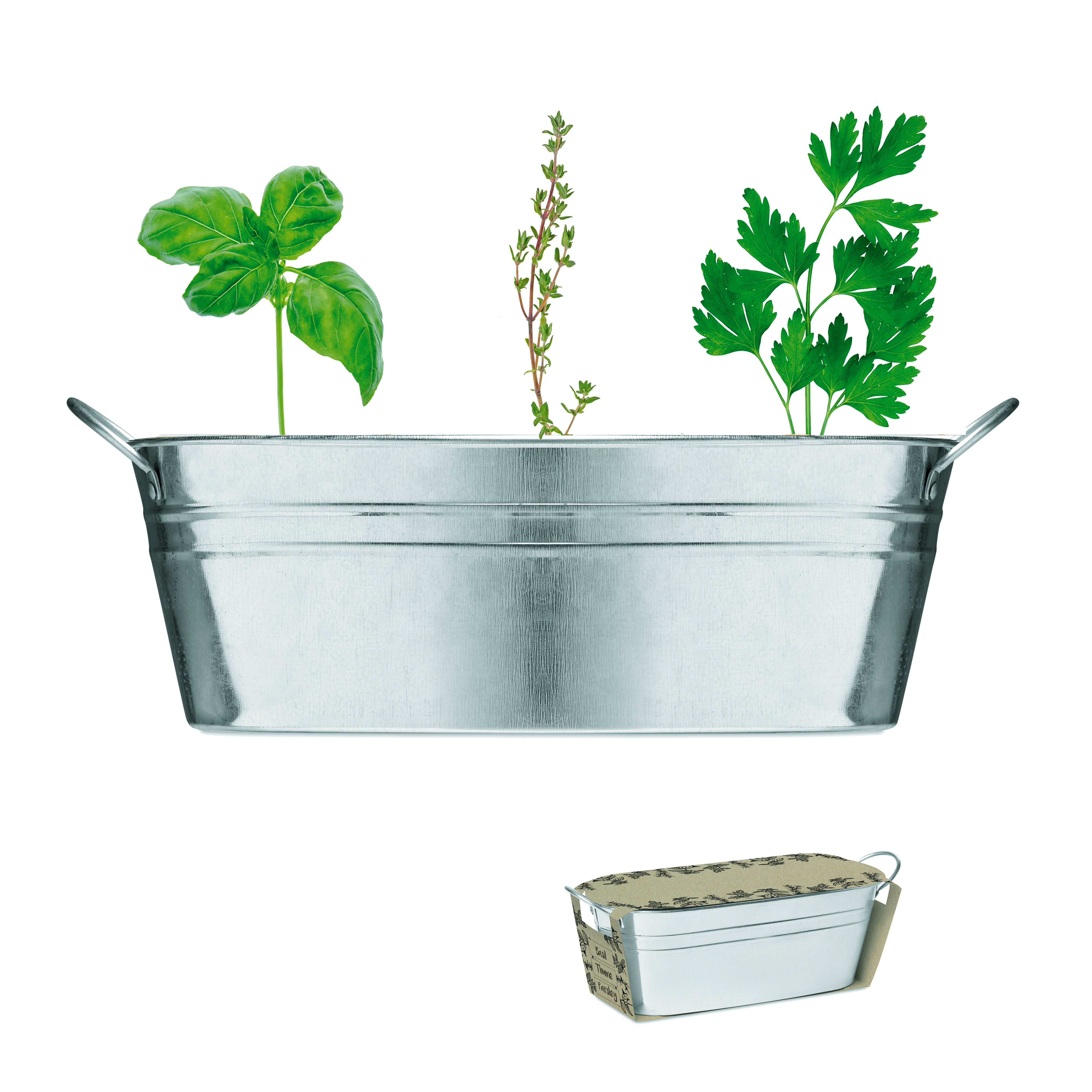 Cynkowa wanienka z nasionami MIX SEEDS