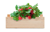Zestaw do uprawy truskawek STRAWBERRY