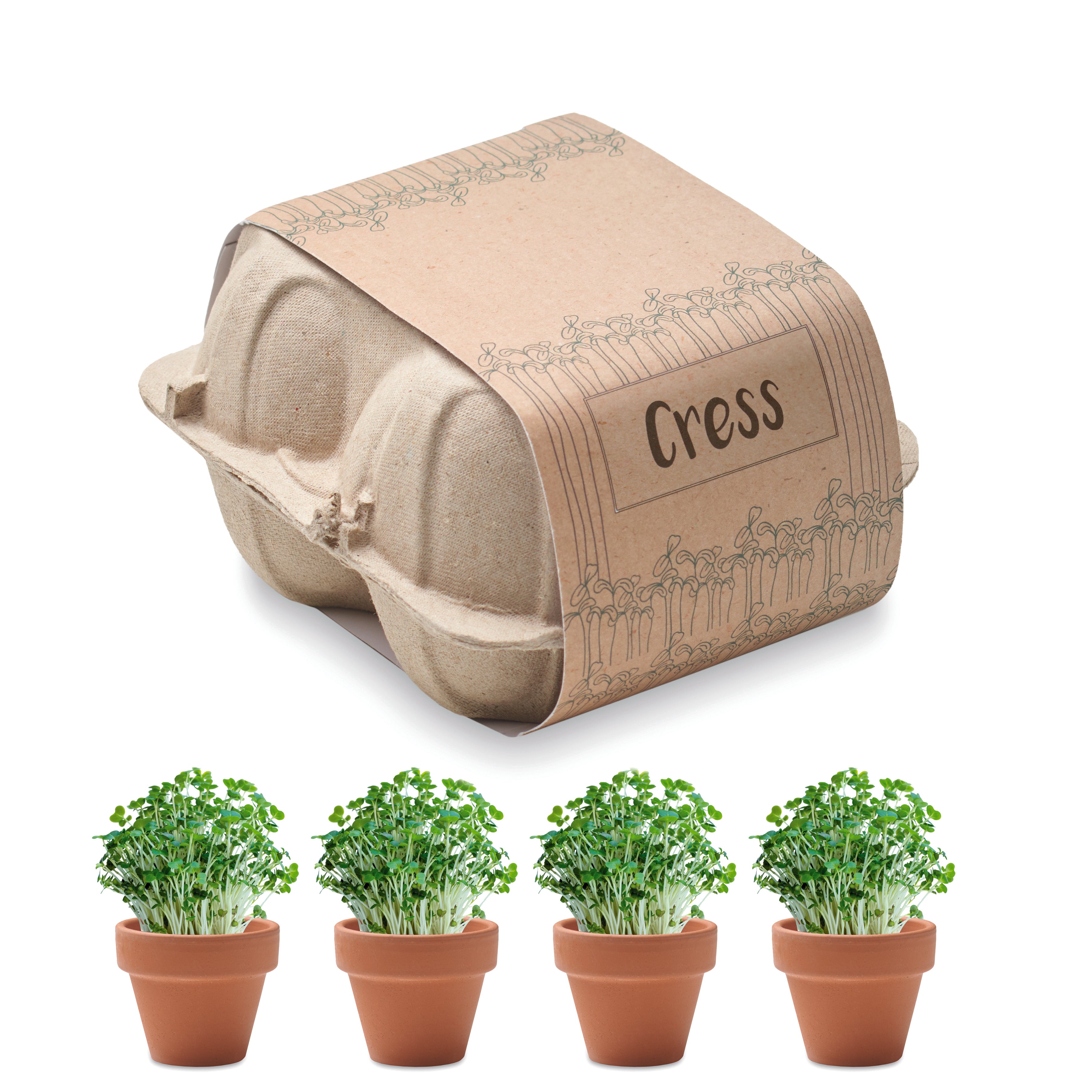 Zestaw do uprawy w kartonie CRESS