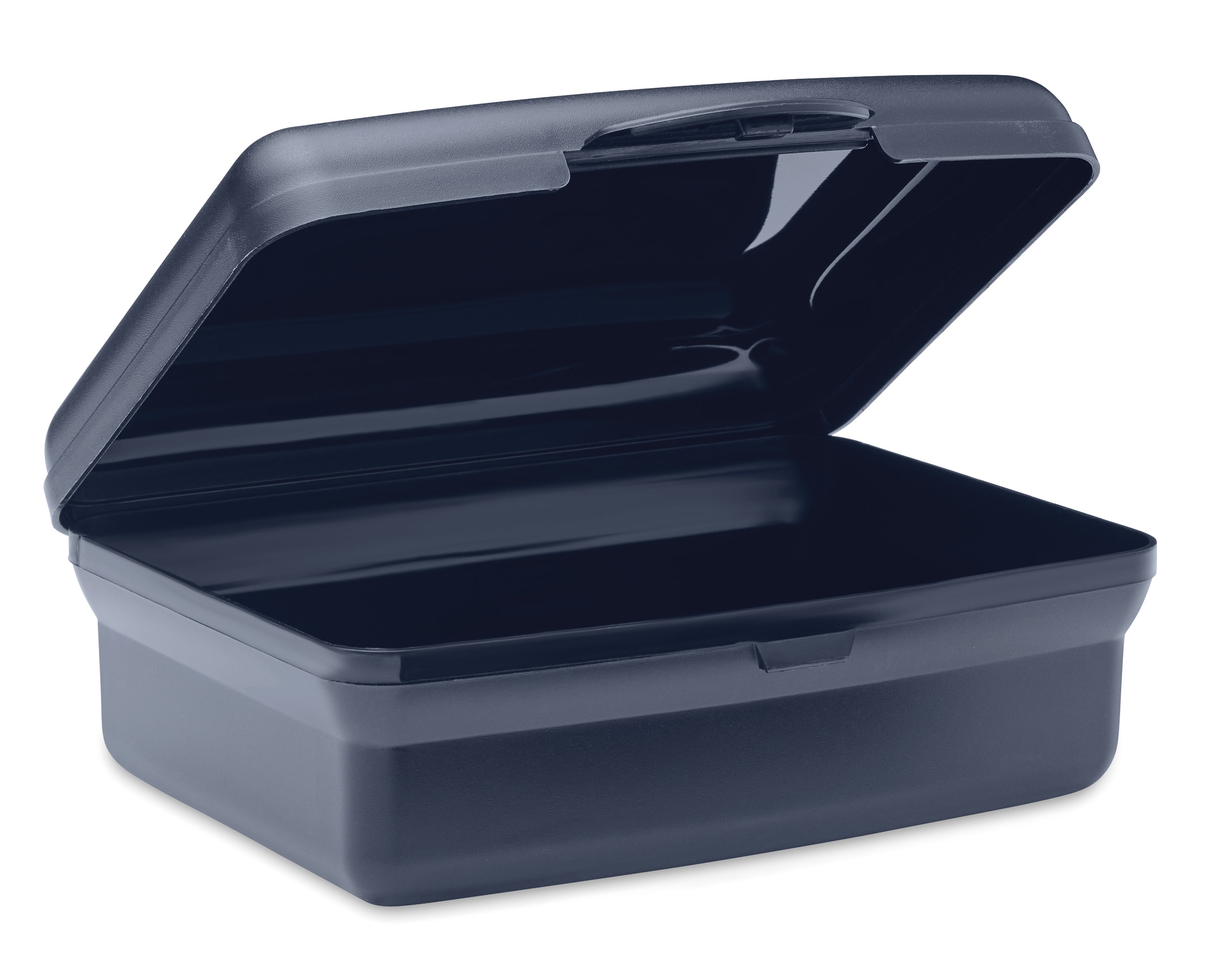 Lunch box z PP 800ml CARMANY