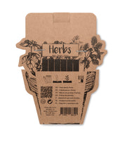 Patyczki z nasionami ziół LEYTI